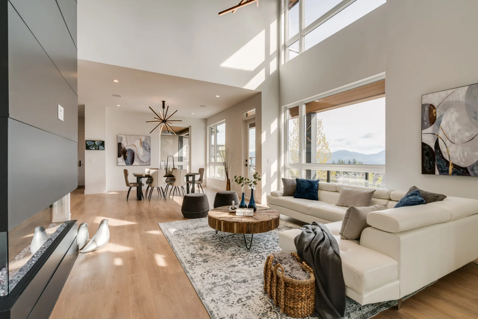 Great Contemporary Room